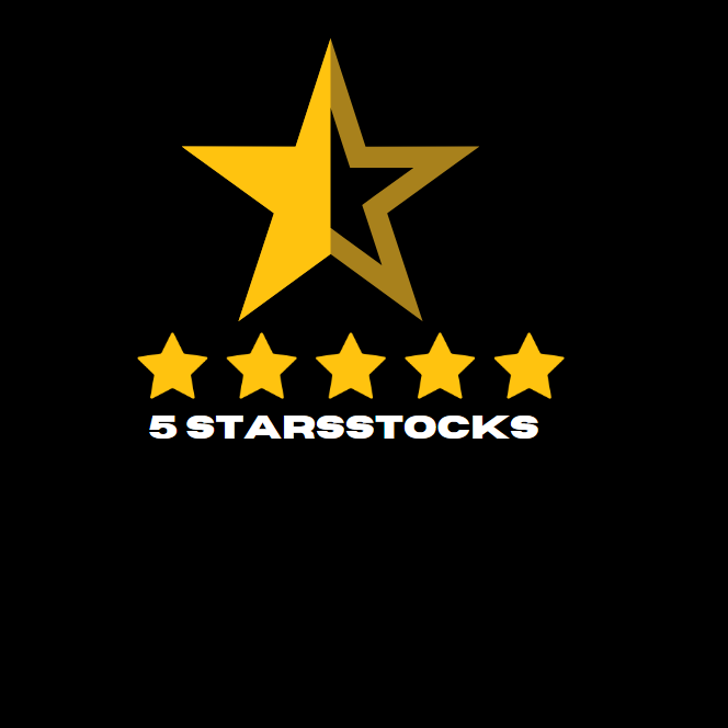 Investor using 5StarsStocks platform for portfolio management.